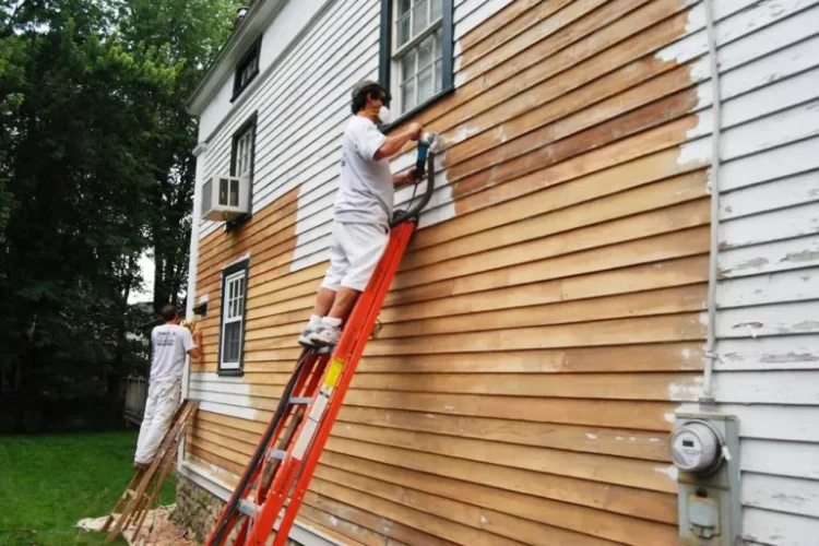 Interior Painting Miami: Color & Finish Guide